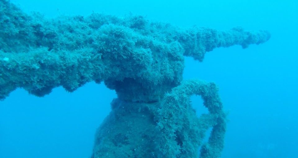 Plonger sur les épaves de la Côte Vermeille