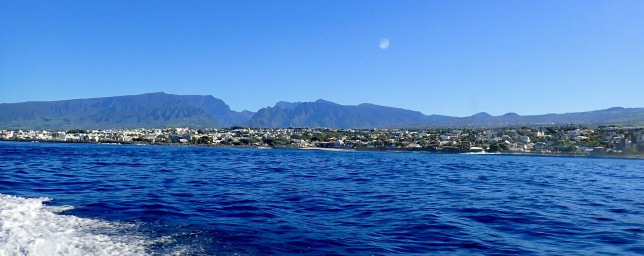 Plongée à La Réunion : Entre jardins de corail et reliefs volcaniques